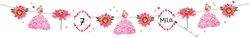 Slinger Haza prinses 3.60m
