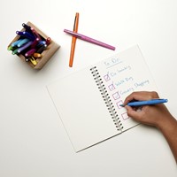 Fineliner Paper Mate Flair Original medium zwart-2